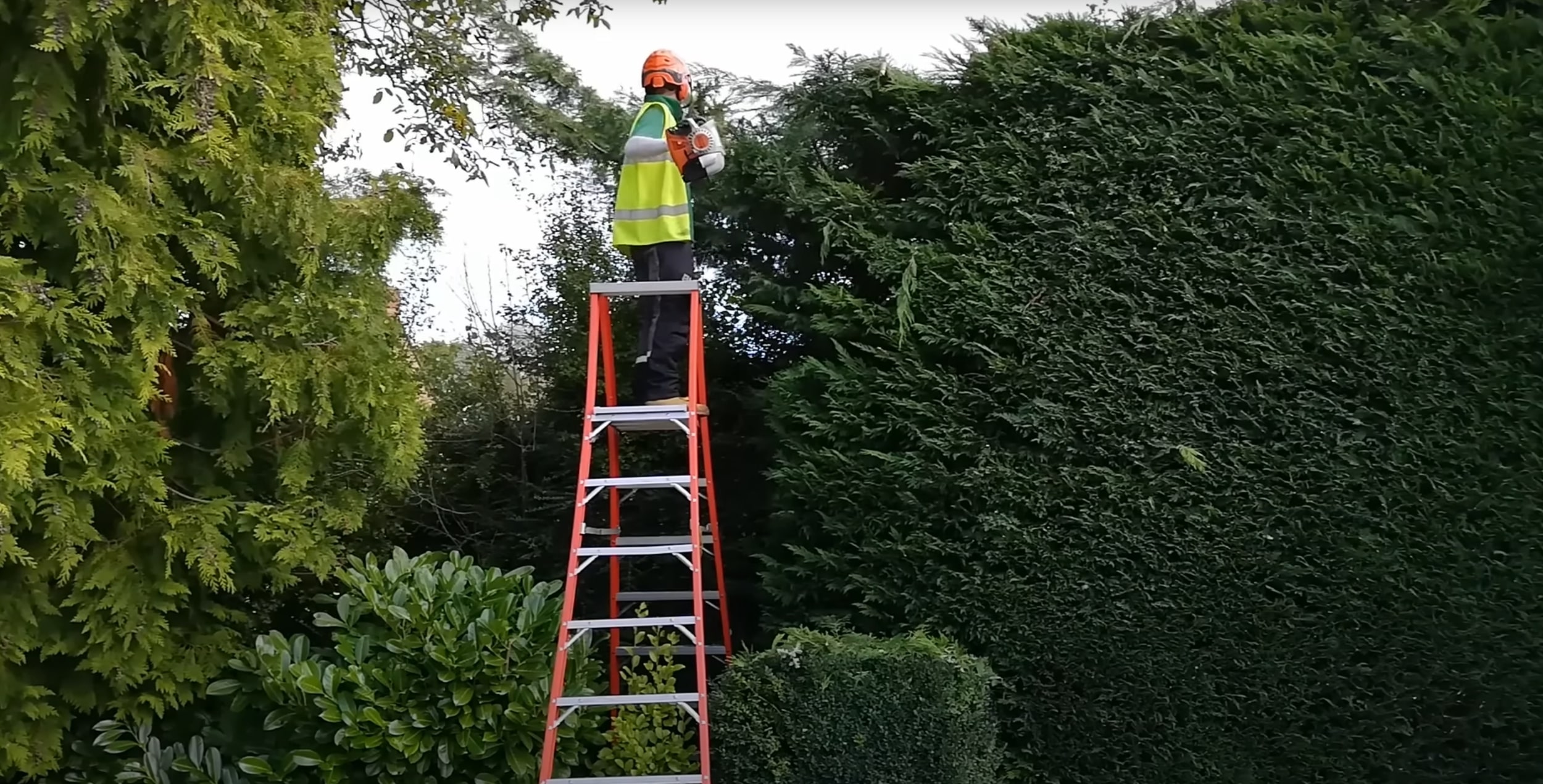 Shrub and hedge trimming service in Greenacres, FL